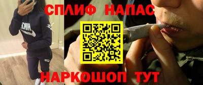 прущие грибы Апшеронск