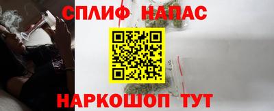 прущие грибы Апшеронск