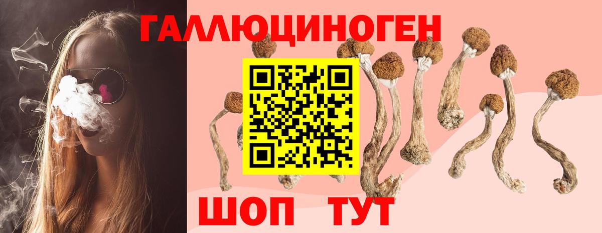 Галлюциногенные грибы мицелий Белая Калитва